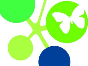 Das Logo des Biotopverbund Offenland mit einem Shhmetterling verbunden mit mehreren Punkten.